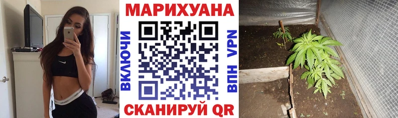 Шишки марихуана THC 21% МЕГА ССЫЛКА Сунжа